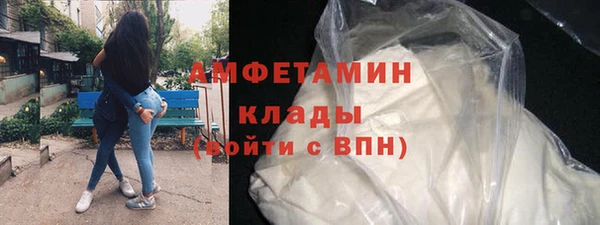 гидра Каменногорск