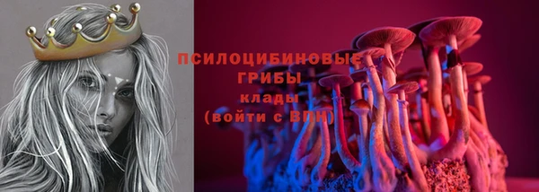прущие крисы Касимов