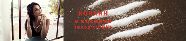 гидра Каменногорск