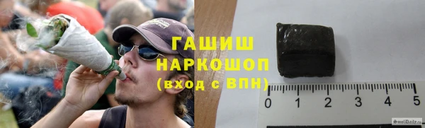 гидра Каменногорск