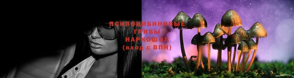 mdma Каменка
