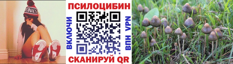 Галлюциногенные грибы мухоморы  Купить  Полысаево 